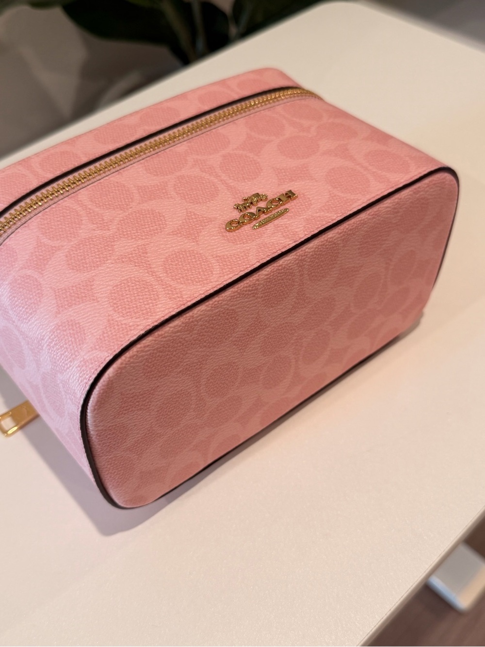 COACH Powder Pink Vanity Case BNWT - Picture 6 of 10